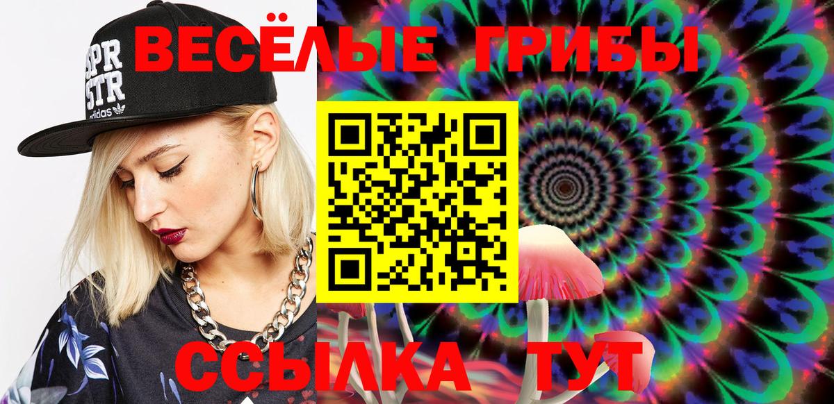 Галлюциногенные грибы Psilocybine cubensis Ржев